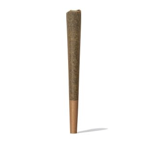PRE ROLL CONO 1g CBD - IGUANA SMOKE
